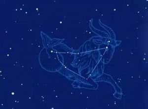摩羯座